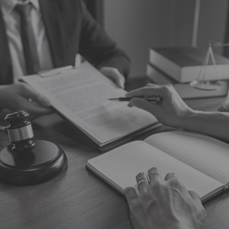professional team of lawyers