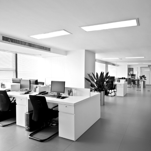 Workplace Lawyer Chamberlains